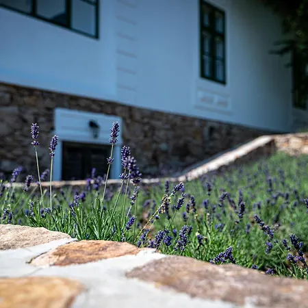 Tervey-villa Apartman