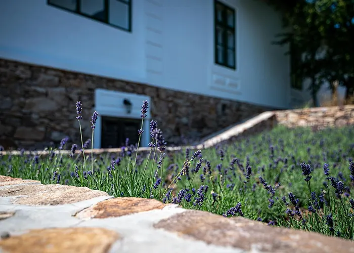 Tervey-villa Appartement